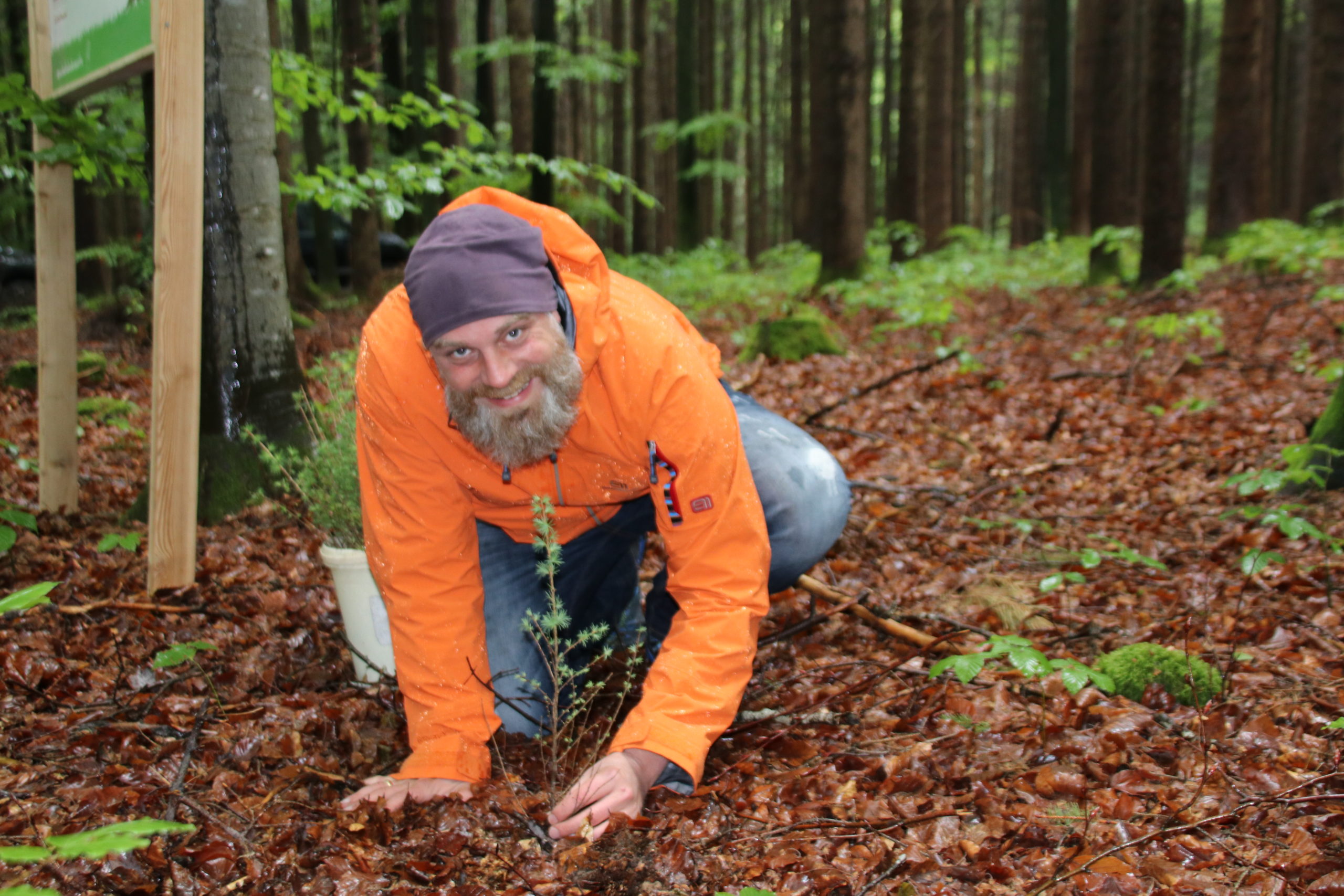 Dirk Lauffer von CuP Versicherungsmakler pflanzt Bäume in Seeshaupt